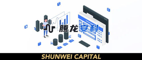 螣龙安科获数千万元A轮融资，顺为资本持续加码“顺为系”网络安全布局